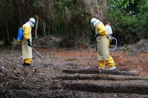 Ebola: not your problem